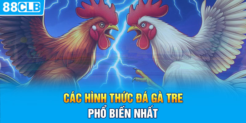 Các hình thức đá gà tre phổ biến nhất