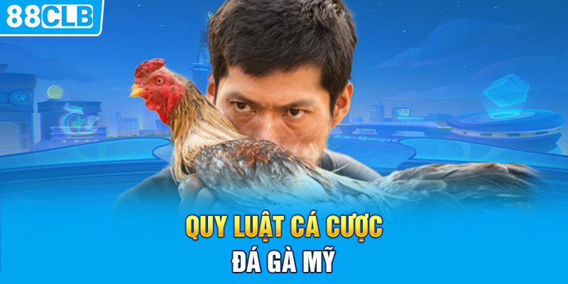 Quy luật cá cược đá gà Mỹ