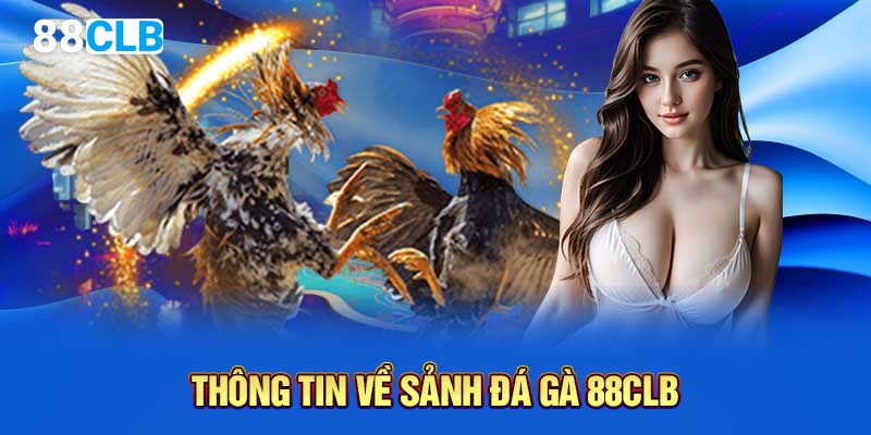 Thông tin về sảnh đá gà 88CLB