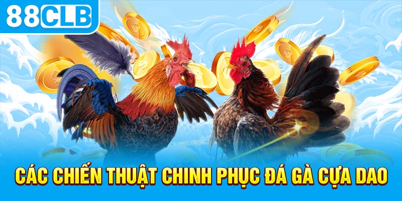 Các chiến thuật chinh phục đá gà cựa dao