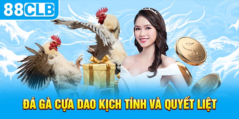 Đá gà cựa dao kịch tính và quyết liệt